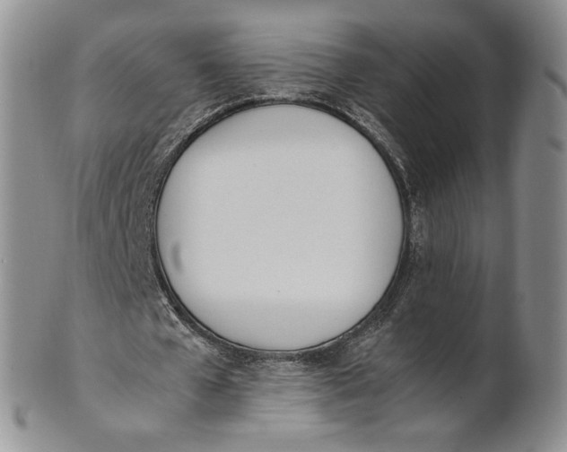 X0000100770577200807101754