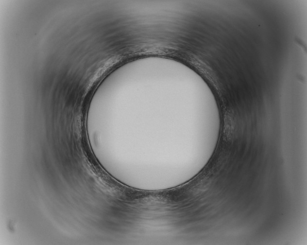 X0000100770578200807101753