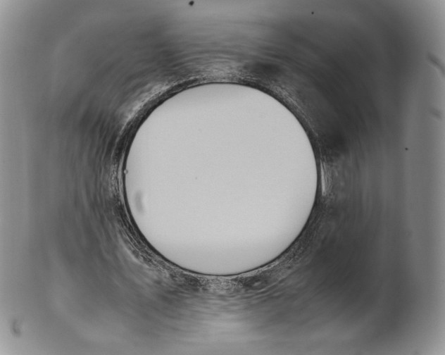 X0000100770579200807101753