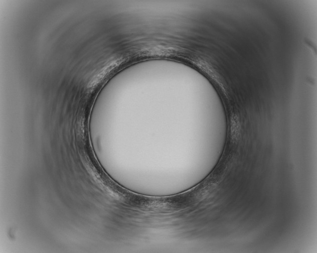 X0000100770581200807101753