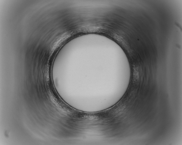 X0000100770582200807101753