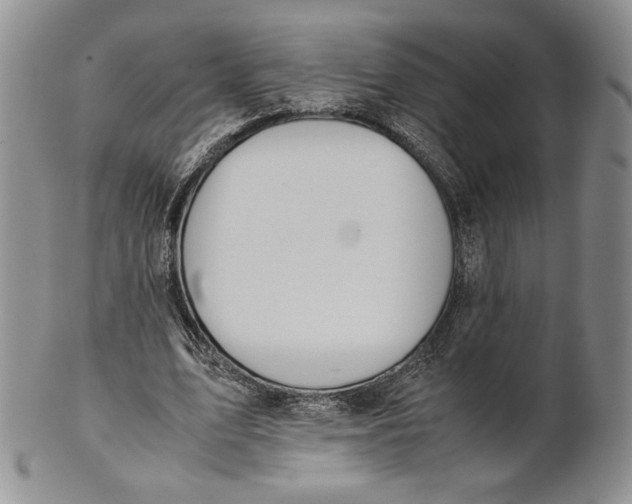 X0000100770583200807101753
