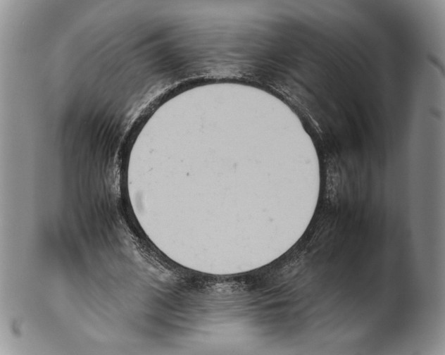 X0000100770584200807101753