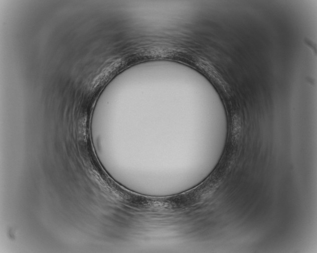 X0000100770585200807101753