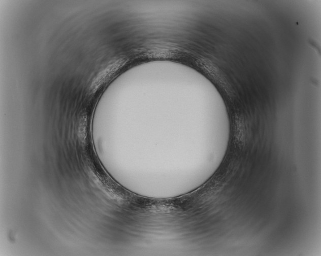 X0000100770586200807101753