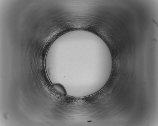 X0000100770587200807101753