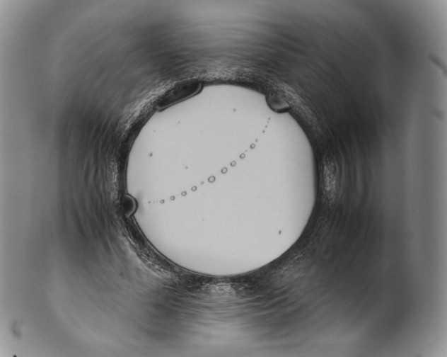 X0000100770588200807101753