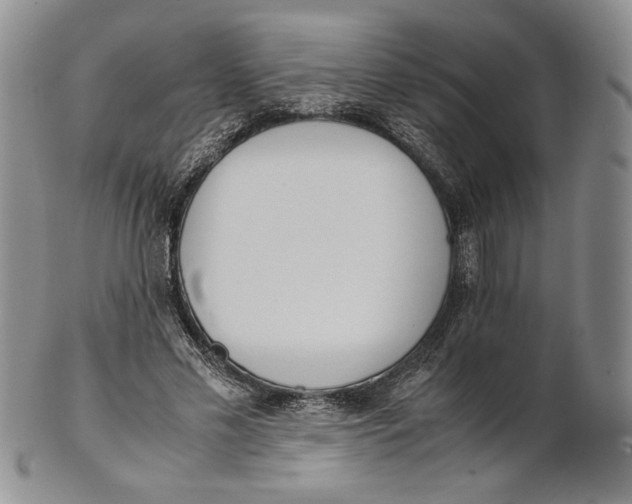 X0000100770589200807101753