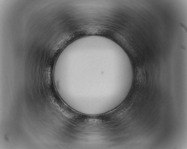 X0000100770590200807101753