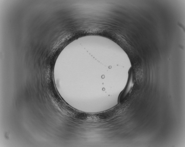 X0000100770591200807101753