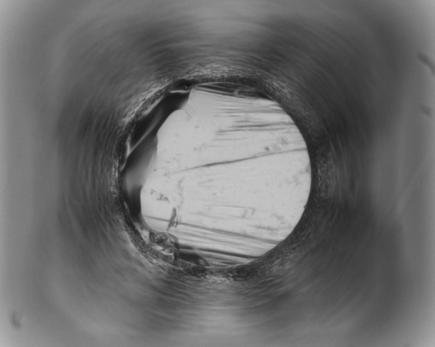 X0000100770592200807101753