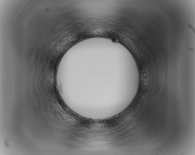 X0000100770593200807101753