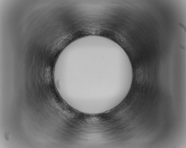 X0000100770594200807101753