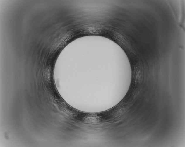 X0000100770595200807101753