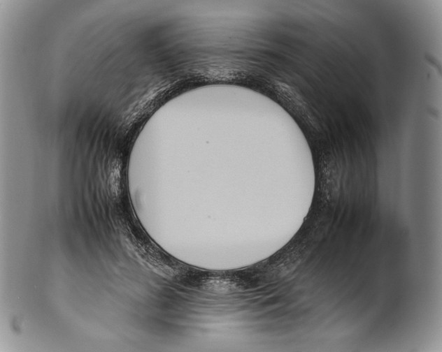 X0000100770596200807101753