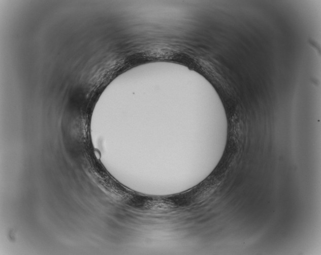 X0000100770597200807101753