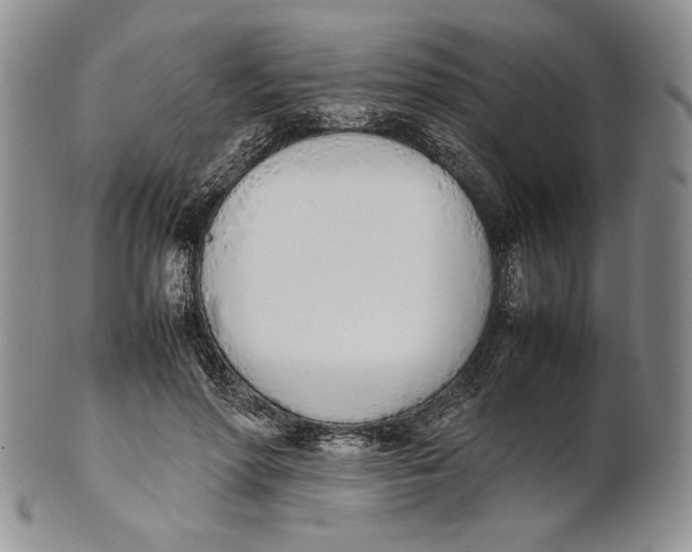 X0000100770598200807101753