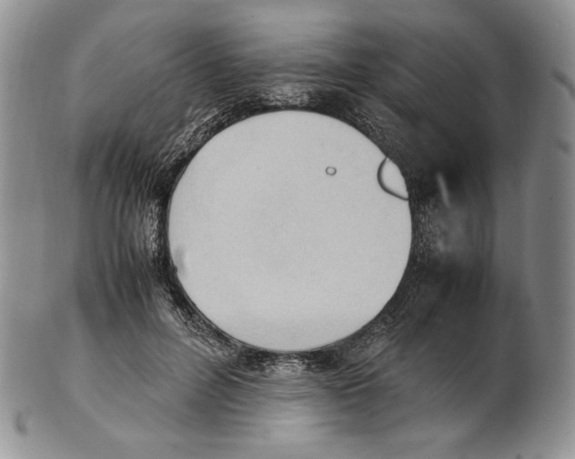 X0000100770600200807101753