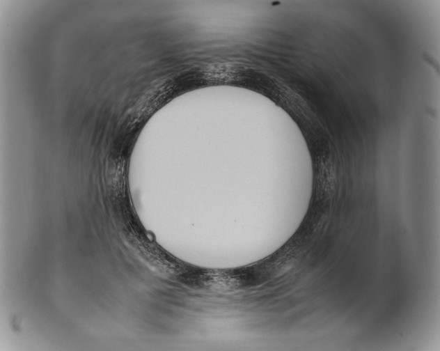 X0000100770601200807101753