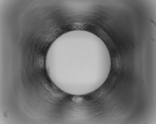 X0000100770602200807101753