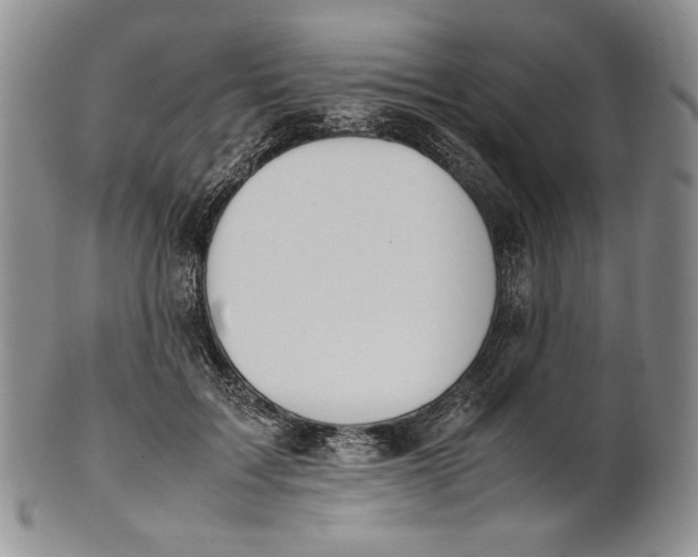 X0000100770603200807101753