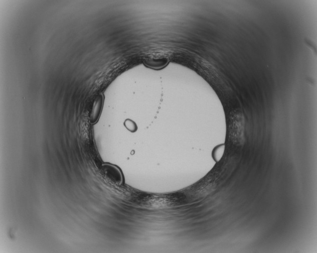 X0000100770604200807101753