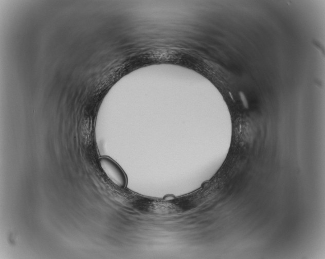 X0000100770605200807101753