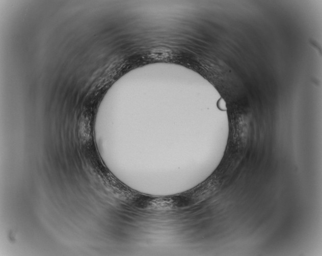 X0000100770606200807101753