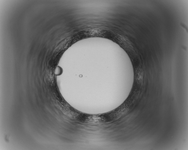 X0000100770607200807101753