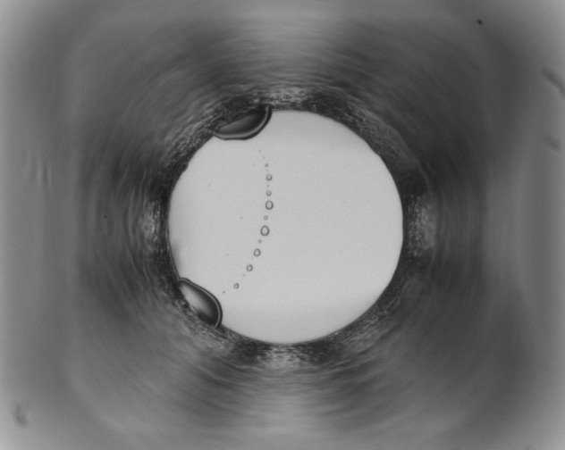 X0000100770608200807101753