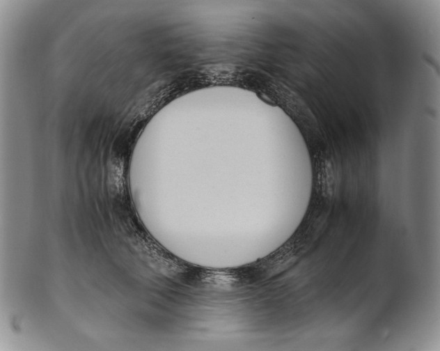 X0000100770610200807101753
