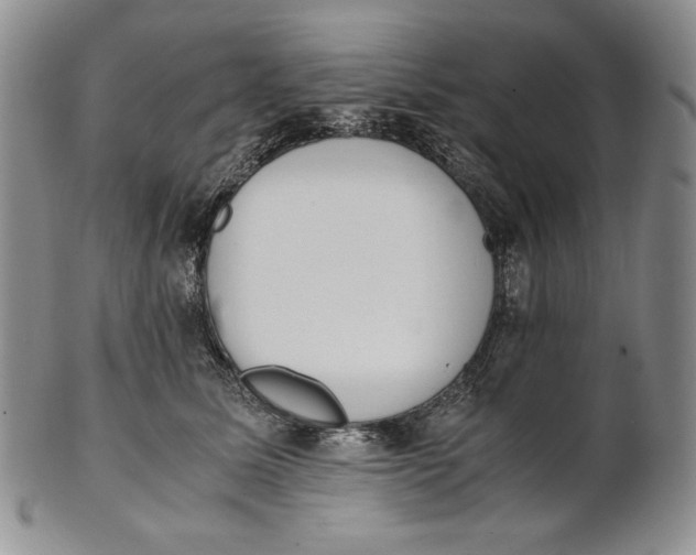 X0000100770611200807101753