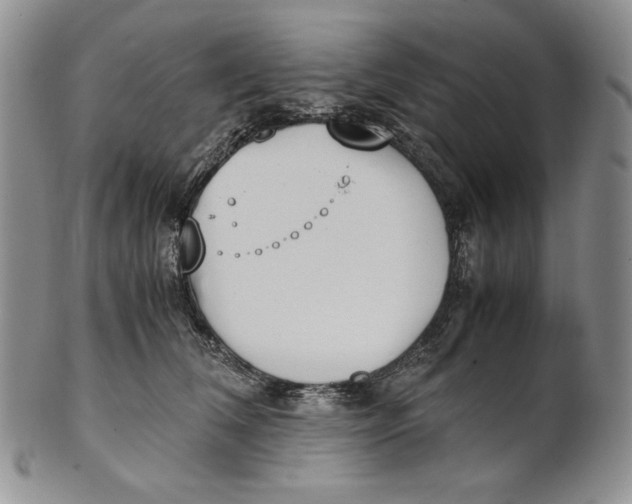 X0000100770612200807101753