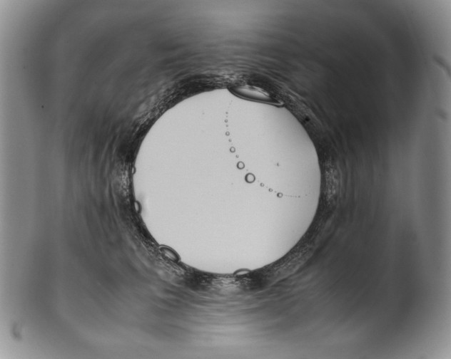 X0000100770613200807101753