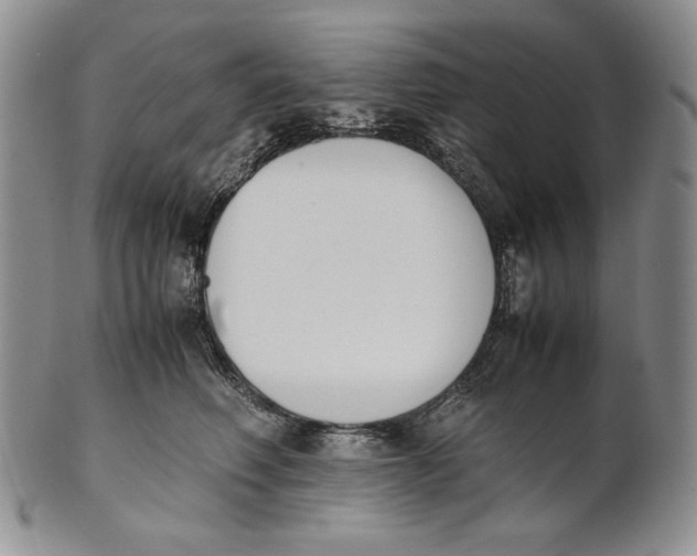 X0000100770614200807101753