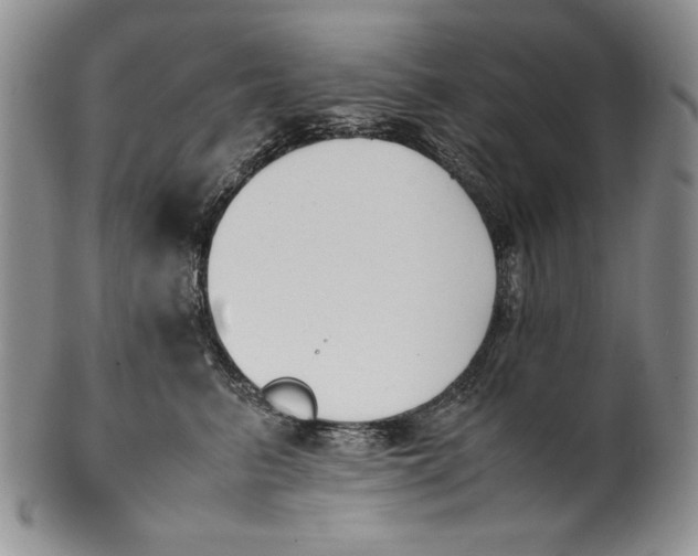 X0000100770615200807101753