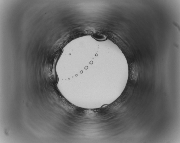 X0000100770616200807101753