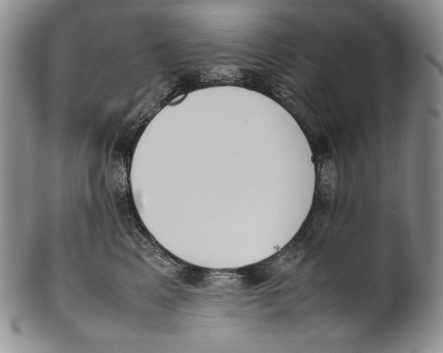 X0000100770617200807101753