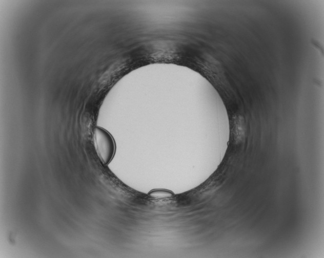 X0000100770619200807101753