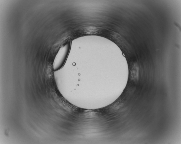 X0000100770620200807101753