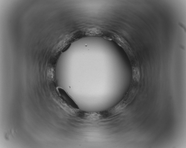 X0000100770621200807101753
