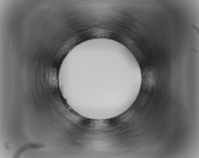 X0000100770622200807101753