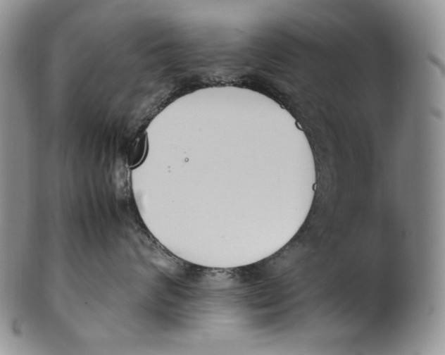 X0000100770624200807101753