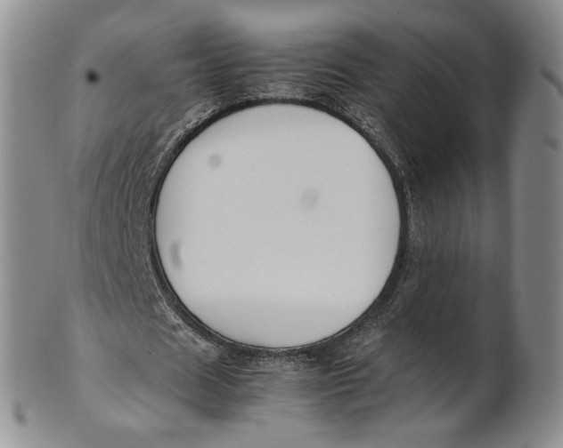X0000100770625200807101752