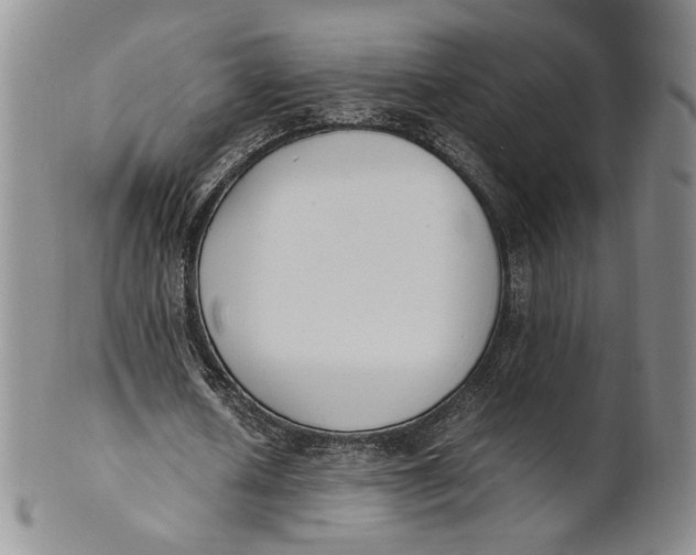 X0000100770626200807101752