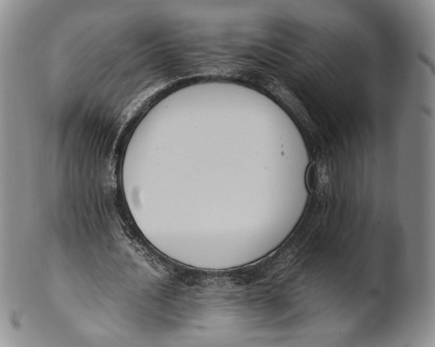 X0000100770628200807101752