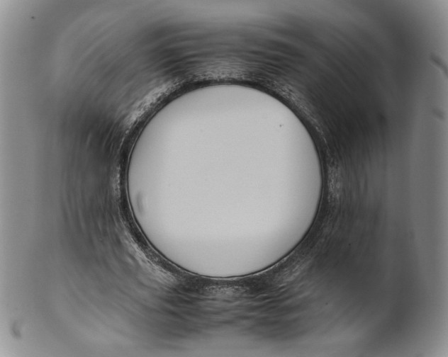 X0000100770629200807101752