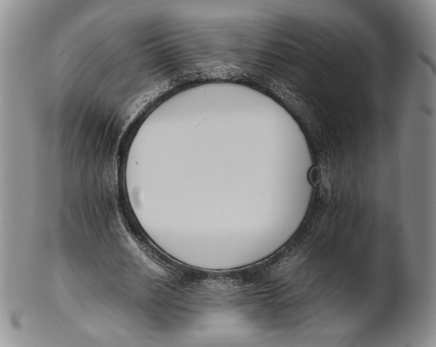 X0000100770630200807101752