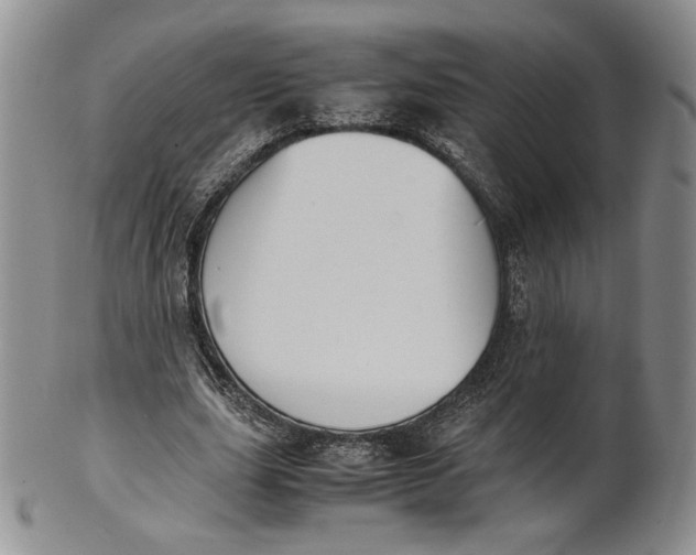 X0000100770631200807101752