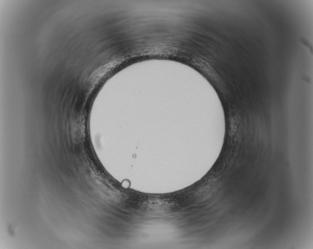 X0000100770632200807101752